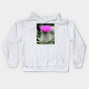 scottish thistle with beautiful purple head Kids Hoodie